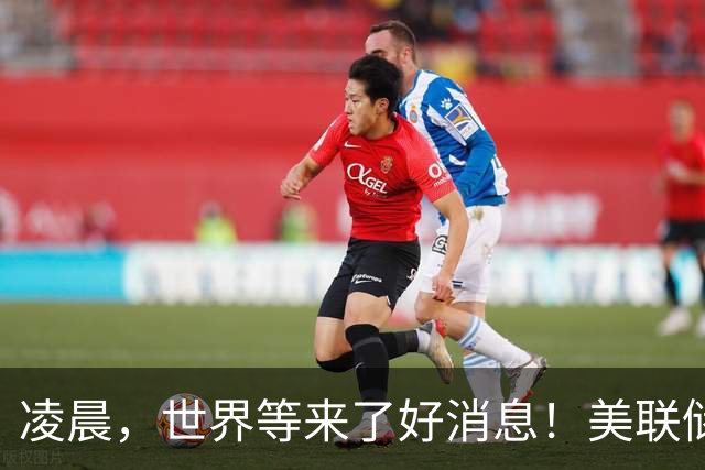 凌晨，世界等来了好消息！美联储落地，科技财报如期兑现