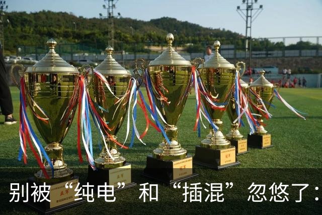 别被“纯电”和“插混”忽悠了：不出意外，未来超50%的家庭，最终都会老老实实买HEV