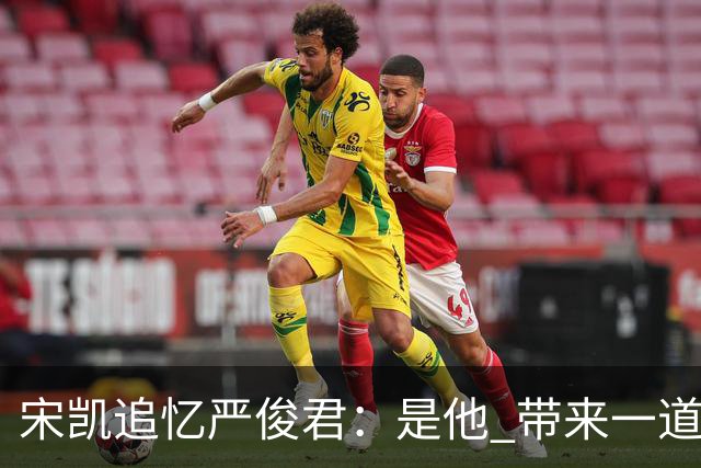 宋凯追忆严俊君：是他 带来一道启蒙的光亮