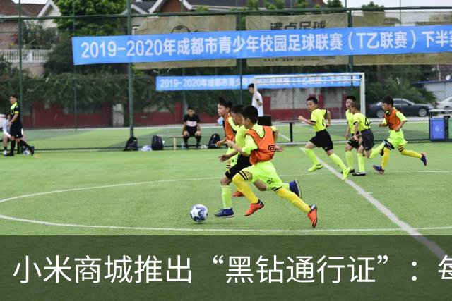 小米商城推出“黑钻通行证”：每天10点先到先得，购买赠手机挂绳盲盒/大额尊享券包等权益