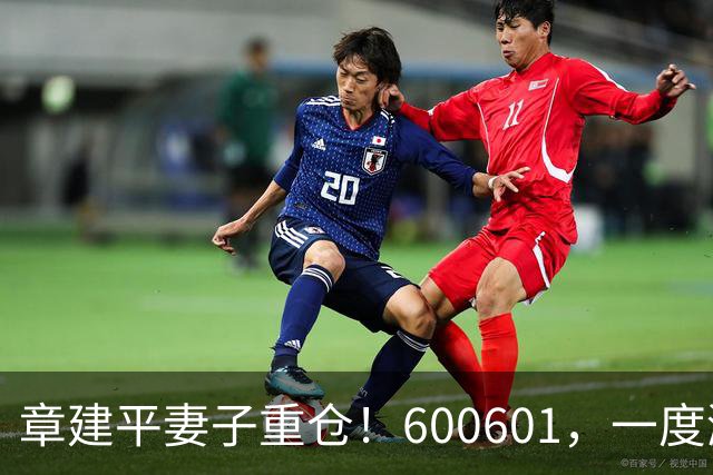 章建平妻子重仓！600601，一度涨停