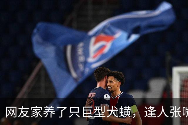 网友家养了只巨型犬蟥，逢人张嘴就开吸，主人无奈带去检查，发现竟是多年前的心太软…狗子：时间一长，地久天长，你的拔犬罐来了…