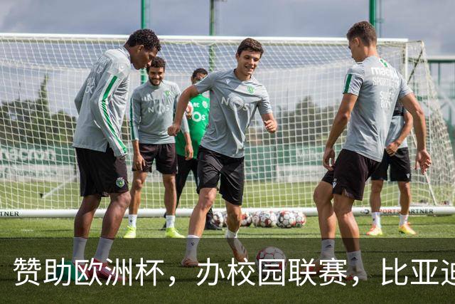 赞助欧洲杯，办校园联赛，比亚迪助力校园足球少年圆梦