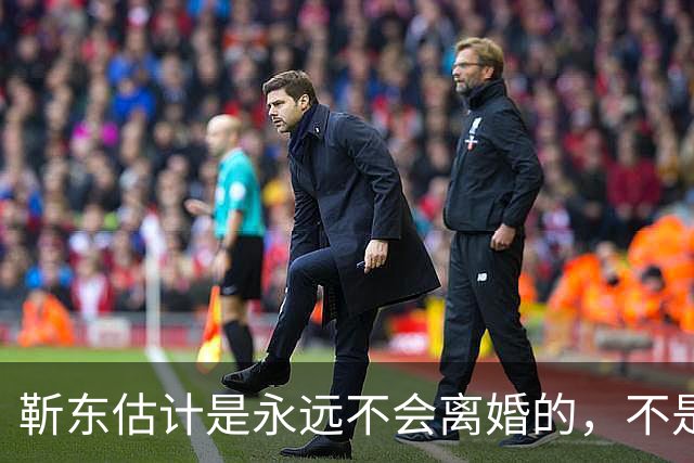 靳东估计是永远不会离婚的，不是因为他和老婆财产纠葛太多