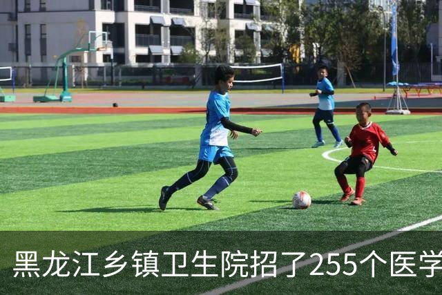 黑龙江乡镇卫生院招了255个医学毕业生：74.9%是专科生，硕士只有1个人