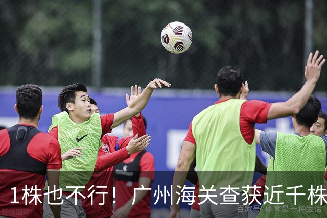 1株也不行！广州海关查获近千株盆栽，有625盆竟是“国宝级”植物
