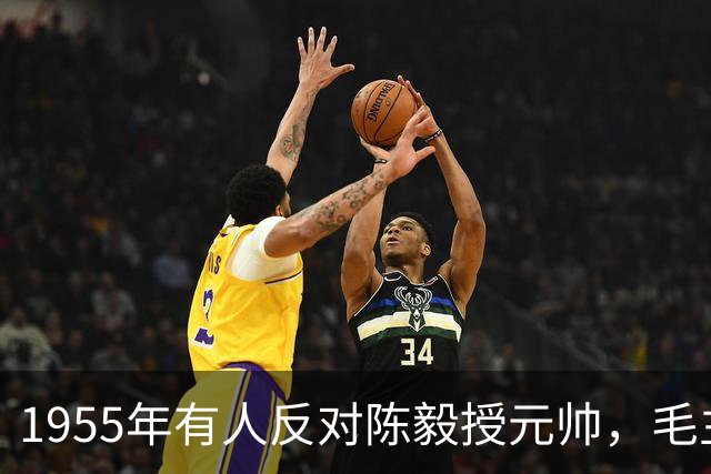1955年有人反对陈毅授元帅，毛主席力挺：三年游击战功不可没！